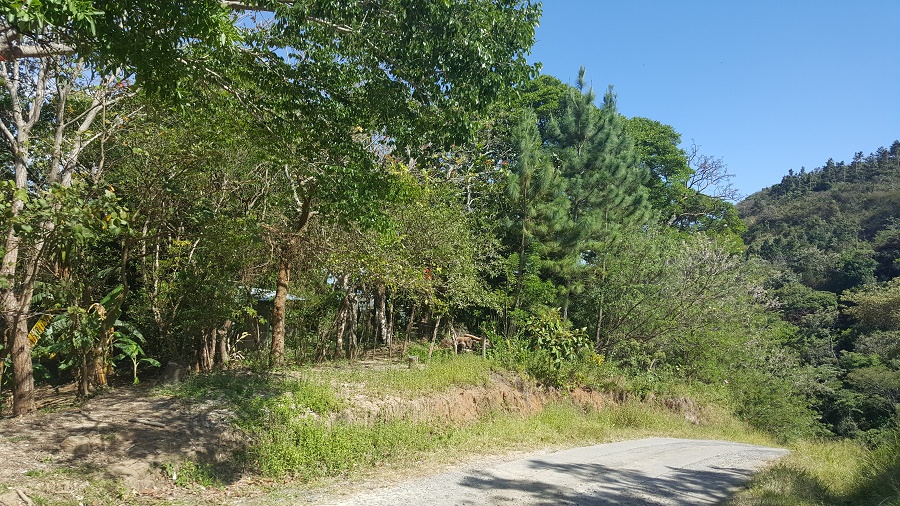 PANAMA OESTE, SAN CARLOS, SORA, PROPERTY LOCATED NEAR ALTOS DEL MARIA.