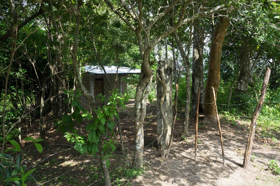 PANAMA OESTE, SAN CARLOS, SORA, PROPERTY LOCATED NEAR ALTOS DEL MARIA.