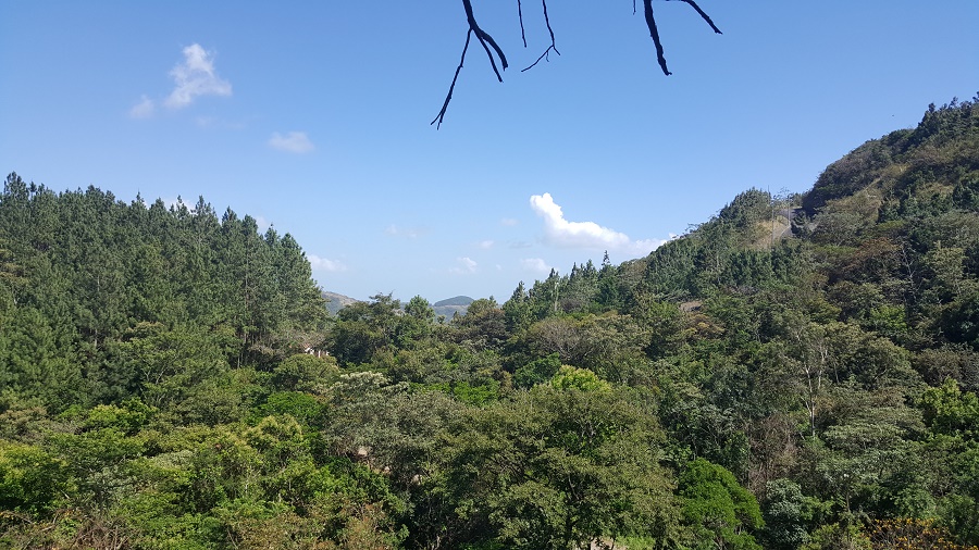 PANAMA OESTE, SAN CARLOS, SORA, PROPERTY LOCATED NEAR ALTOS DEL MARIA.