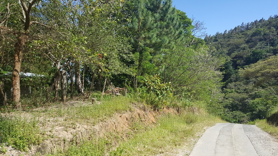 PANAMA OESTE, SAN CARLOS, SORA, PROPERTY LOCATED NEAR ALTOS DEL MARIA.
