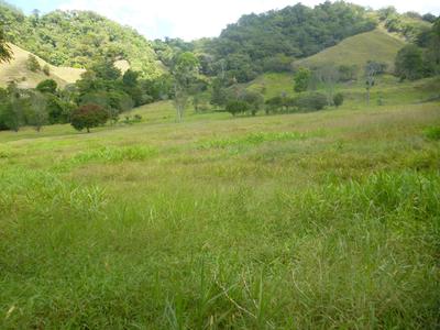 CHIRIQUI%2C%20RENACIMIENTO%2C%20FARM%20LOCATED%20IN%20CAISAN%2C%2015%20MINUTES%20FROM%20THE%20TOWN%20OF%20VOLCAN.
