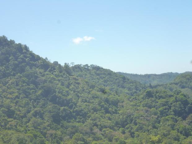 CHIRIQUI, RENACIMIENTO, FARM LOCATED IN CAISAN, 15 MINUTES FROM THE TOWN OF VOLCAN.