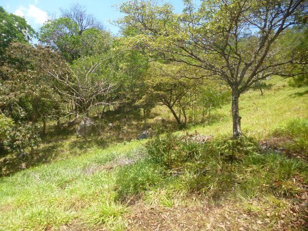 VERAGUAS, SANTA FE, MOUNTAIN VIEW COTTAGE, 5 MINUTES FROM THE TOWN OF SANTA FE.