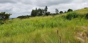 Roadway%20to%20El%20Valle%20Lot