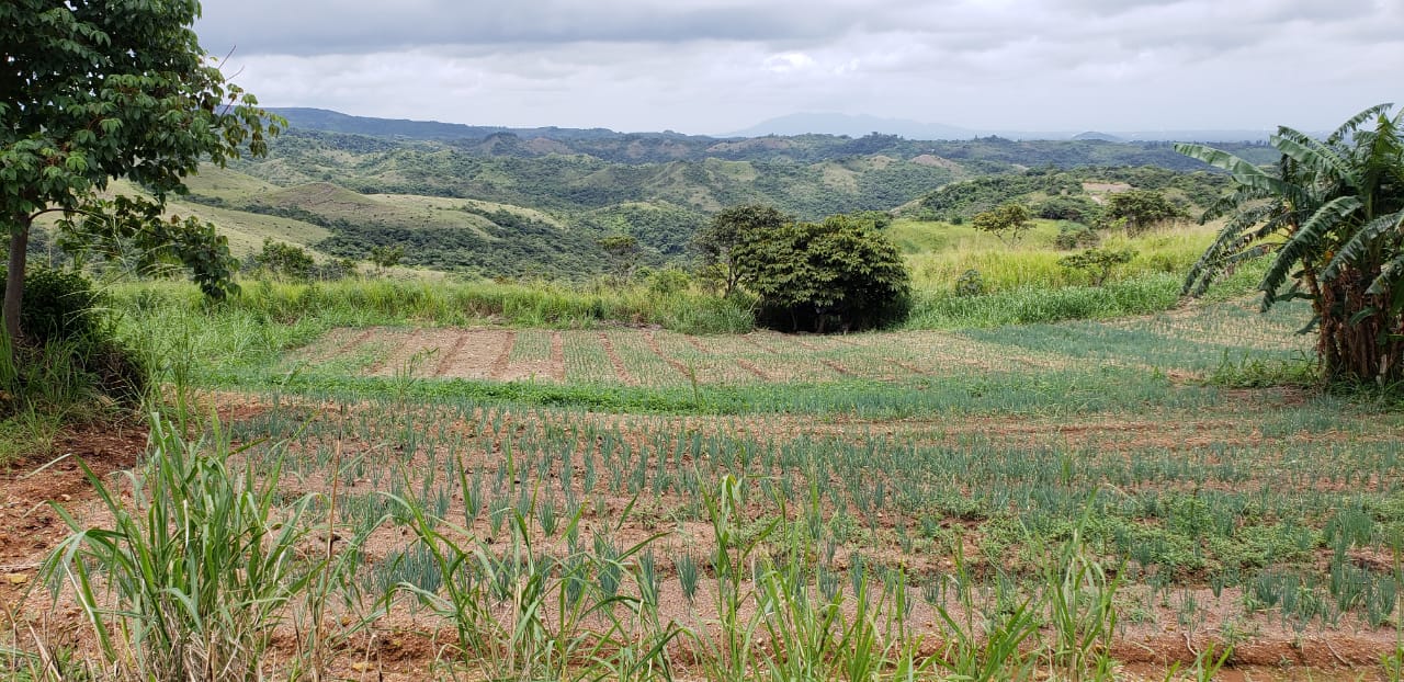 Roadway to El Valle Lot
