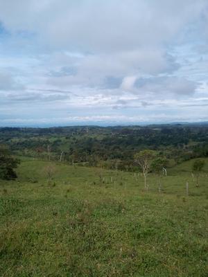 CHIRIQUI%2C%20BOQUERON%2C%20MOUNTAIN%20AND%20OCEAN%20VIEW%20FARM%2C%20LOCATED%20IN%20CORDILLERA.