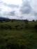 CHIRIQUI, BOQUERON, MOUNTAIN AND OCEAN VIEW FARM, LOCATED IN CORDILLERA.