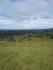 CHIRIQUI, BOQUERON, MOUNTAIN AND OCEAN VIEW FARM, LOCATED IN CORDILLERA.