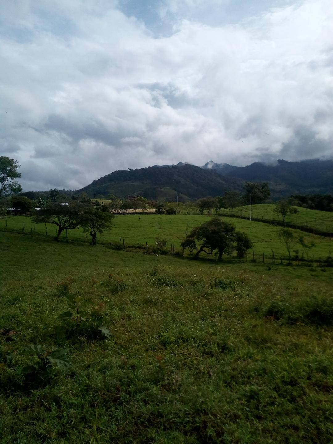 CHIRIQUI, BOQUERON, MOUNTAIN AND OCEAN VIEW FARM, LOCATED IN CORDILLERA.