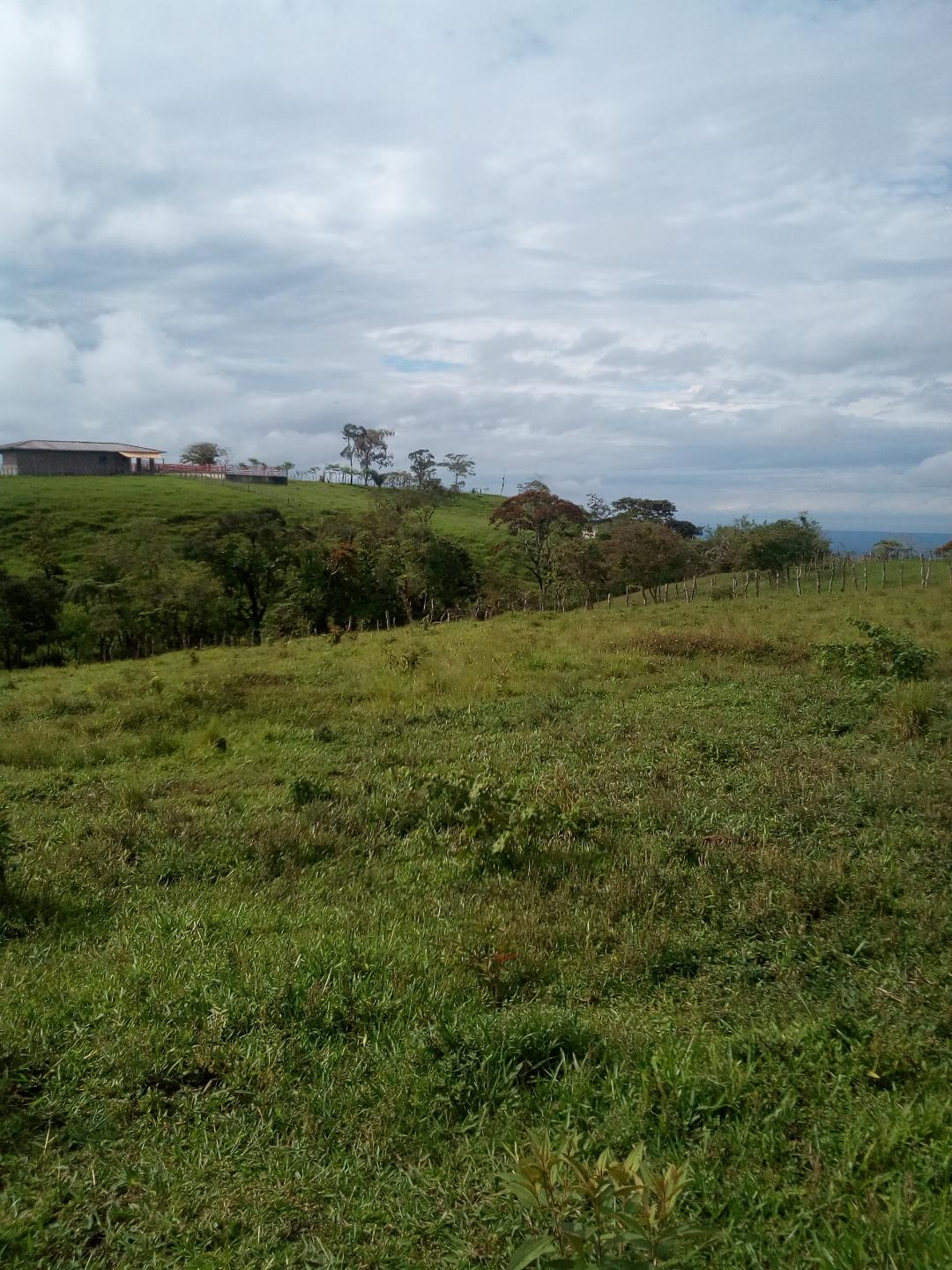 CHIRIQUI, BOQUERON, MOUNTAIN AND OCEAN VIEW FARM, LOCATED IN CORDILLERA.