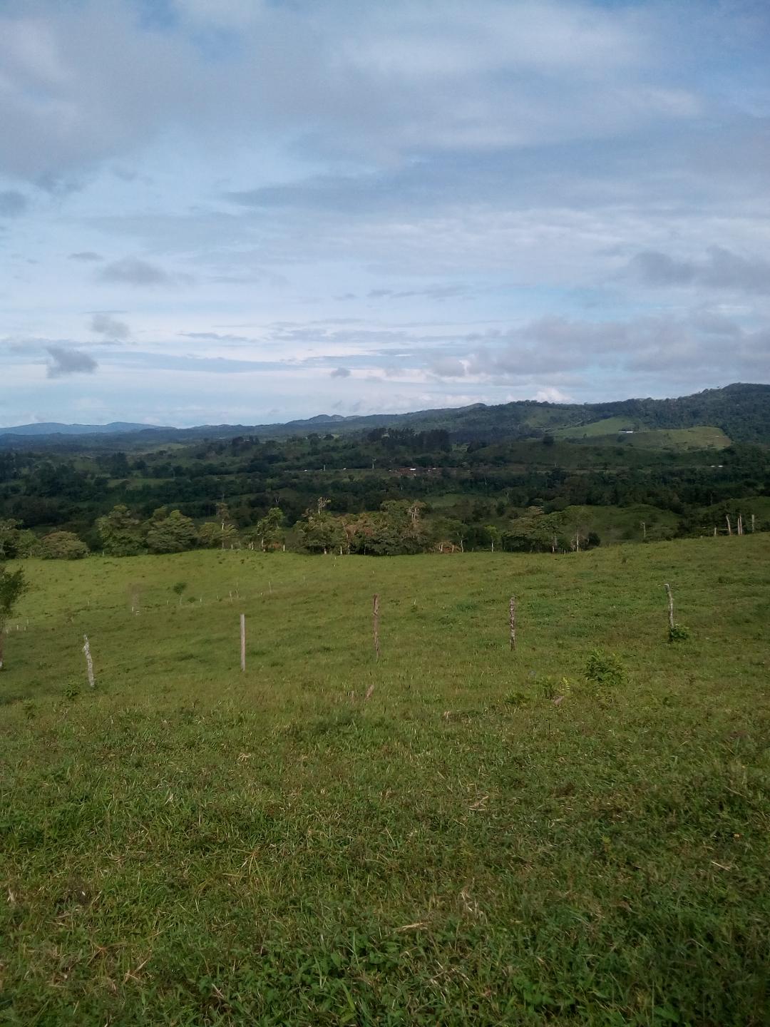 CHIRIQUI, BOQUERON, MOUNTAIN AND OCEAN VIEW FARM, LOCATED IN CORDILLERA.