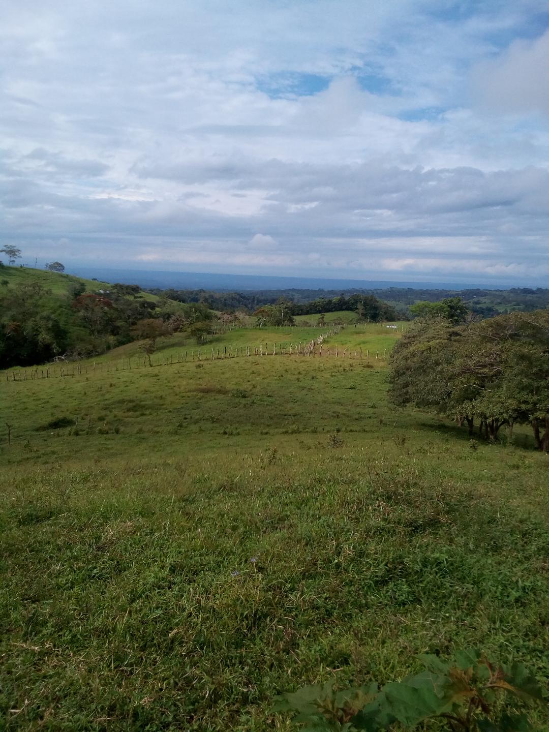 CHIRIQUI, BOQUERON, MOUNTAIN AND OCEAN VIEW FARM, LOCATED IN CORDILLERA.