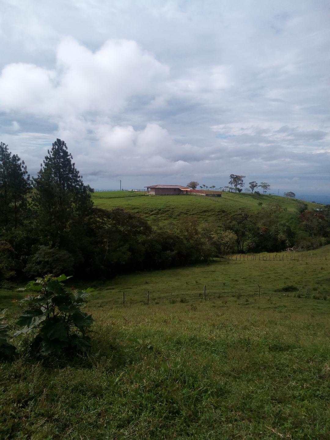 CHIRIQUI, BOQUERON, MOUNTAIN AND OCEAN VIEW FARM, LOCATED IN CORDILLERA.