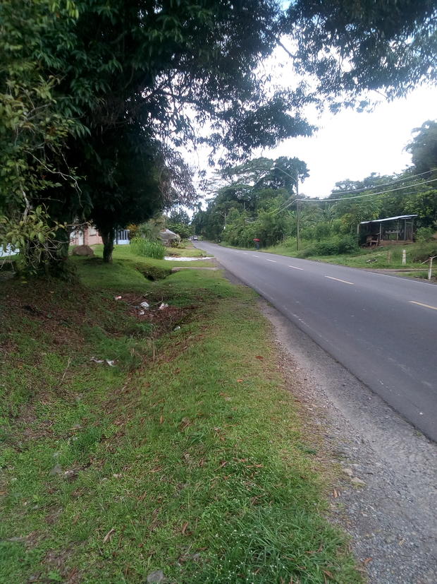 PROPERTY WITH HIGHWAY FRONTAGE, CHIRIQUI, BUGABA, LOCATED ON THE ROAD TO VOLCAN, IN CONCEPCION.