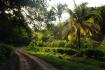 225-acre jungle oasis in the mountains of Mal Pais beach