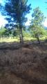 CHIRIQUI, DISTRITO DE TIERRAS ALTAS, LOTE CON VISTA A LA MONTAÑA EN NUEVA CALIFORNIA, VOLCAN