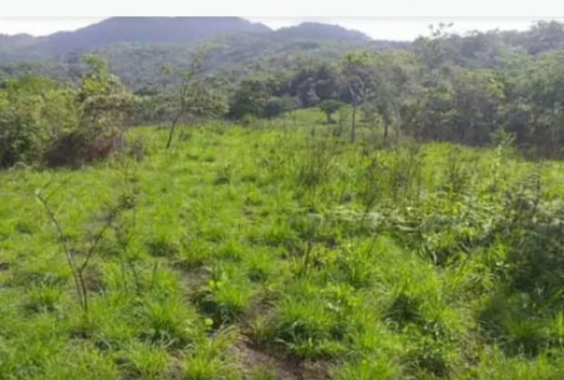 PANAMA OESTE, CHAME, OCEAN AND MOUNTAIN VIEW PROPERTY ON THE HIGHLANDS OF SORA