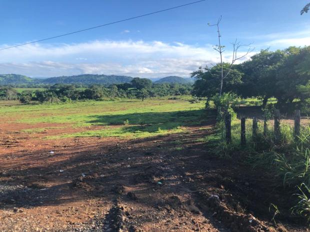 CHIRIQUI, DAVID, LAND FOR SALE ALONG THE PAN-AMERICAN HIGHWAY IN THE TOWN OF CHIRIQUI.