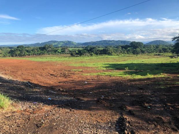 CHIRIQUI, DAVID, LAND FOR SALE ALONG THE PAN-AMERICAN HIGHWAY IN THE TOWN OF CHIRIQUI.