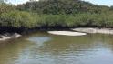 CHIRIQUI, SAN LORENZO, FARM LOCATED ON THE WAY TO PLAYA HERMOSA, BOCA CHICA.