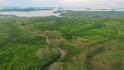 CHIRIQUI, SAN LORENZO, FARM LOCATED ON THE WAY TO PLAYA HERMOSA, BOCA CHICA.