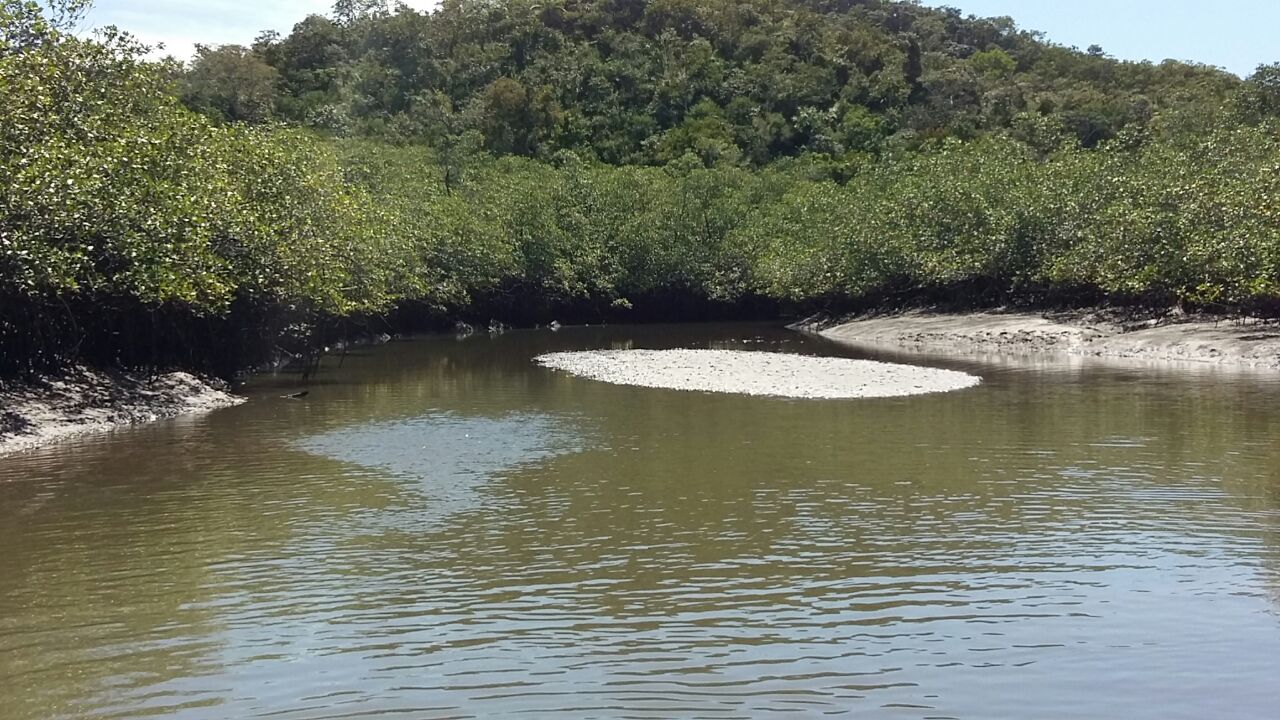 CHIRIQUI, SAN LORENZO, FARM LOCATED ON THE WAY TO PLAYA HERMOSA, BOCA CHICA.