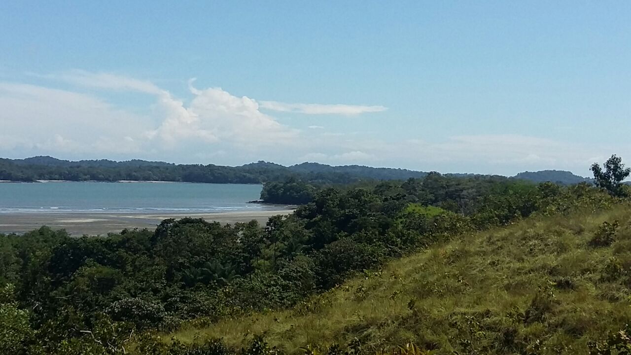 CHIRIQUI, SAN LORENZO, FARM LOCATED ON THE WAY TO PLAYA HERMOSA, BOCA CHICA.