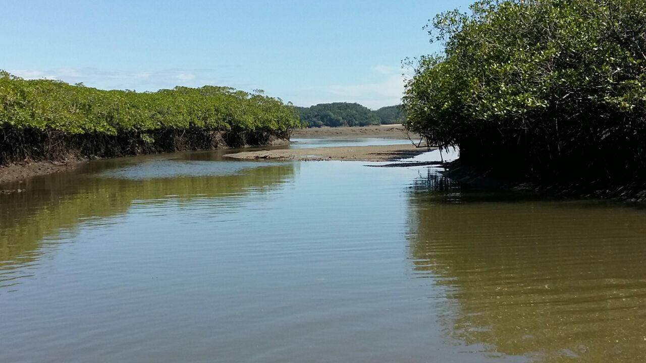 CHIRIQUI, SAN LORENZO, FARM LOCATED ON THE WAY TO PLAYA HERMOSA, BOCA CHICA.