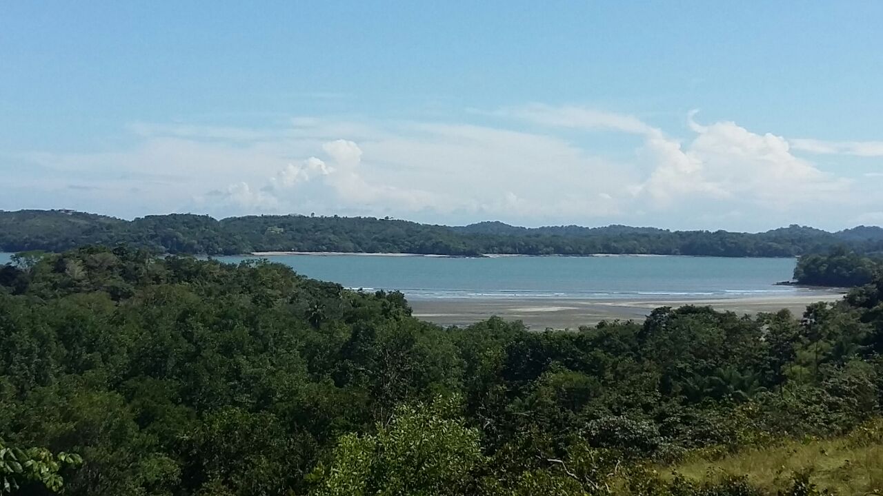 CHIRIQUI, SAN LORENZO, FARM LOCATED ON THE WAY TO PLAYA HERMOSA, BOCA CHICA.