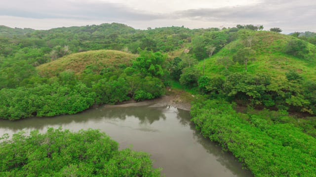 CHIRIQUI, SAN LORENZO, FARM LOCATED ON THE WAY TO PLAYA HERMOSA, BOCA CHICA.