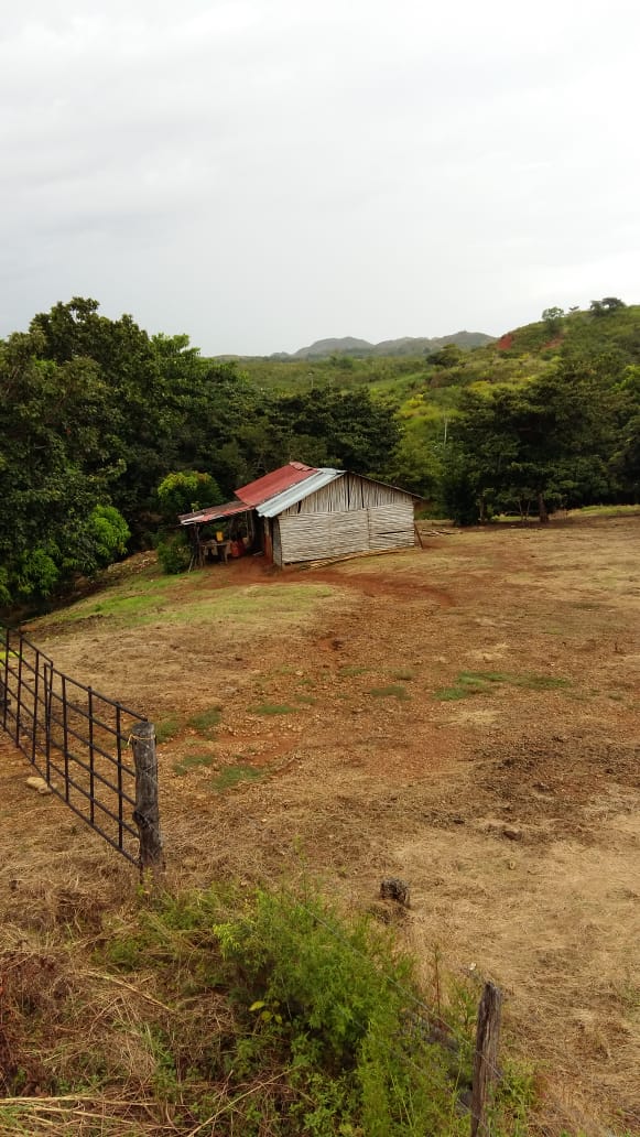 CHIRIQUI, SAN LORENZO, FARM LOCATED ON THE WAY TO PLAYA HERMOSA, BOCA CHICA.