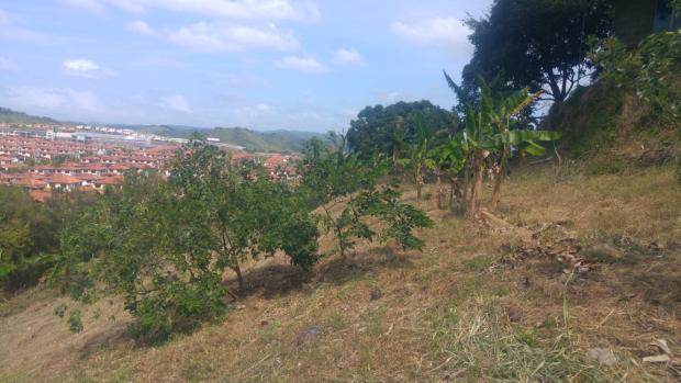 PANAMÁ, PROPIEDAD CON VISTA AL LAGO EN LAS CUMBRES, CIUDAD DE PANAMÁ.