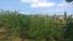 PANAMÁ, PROPIEDAD CON VISTA AL LAGO EN LAS CUMBRES, CIUDAD DE PANAMÁ.