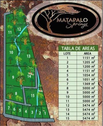 Lots For Sale close to Tamarindo!