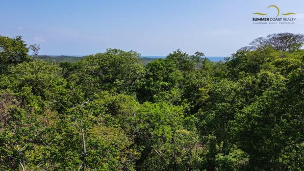 Tree Top Retreat Estate Gated Community Tamarindo