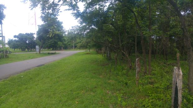 CHIRIQUI, SAN LORENZO, FARM ON THE ROAD TO THE TOWN OF HORCONCITOS