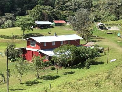 CHIRIQUI%2C%20DISTRITO%20DE%20DOLEGA%2C%20BEAUTIFUL%20MILE%20HIGH%20FARM%20IN%20THE%20HIGHLANDS%20OF%20POTRERILLOS%20ARRIBA
