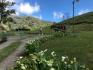 CHIRIQUI, DISTRITO DE DOLEGA, BEAUTIFUL MILE HIGH FARM IN THE HIGHLANDS OF POTRERILLOS ARRIBA