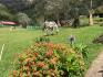 CHIRIQUI, DISTRITO DE DOLEGA, BEAUTIFUL MILE HIGH FARM IN THE HIGHLANDS OF POTRERILLOS ARRIBA