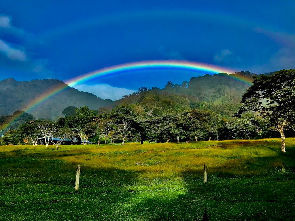 CHIRIQUI, DISTRITO DE DOLEGA, BEAUTIFUL MILE HIGH FARM IN THE HIGHLANDS OF POTRERILLOS ARRIBA