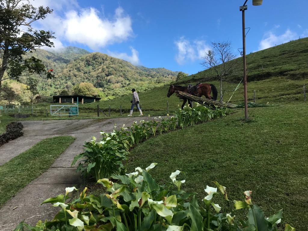 CHIRIQUI, DISTRITO DE DOLEGA, BEAUTIFUL MILE HIGH FARM IN THE HIGHLANDS OF POTRERILLOS ARRIBA