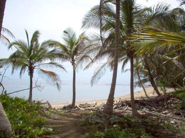 Caribbean Beach Front land