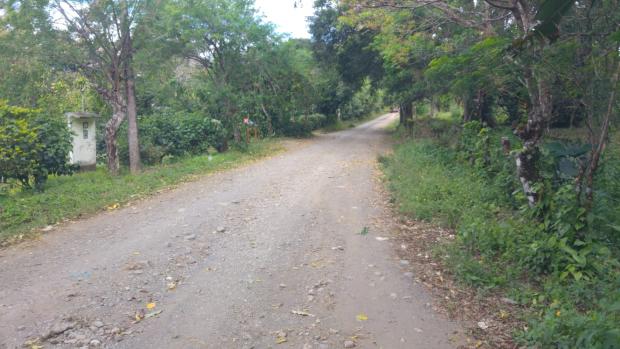 CHIRIQUI, BOQUETE, FINCA UBICADA EN PALMIRA ABAJO, CORREGIMIENTO DE PALMIRA.