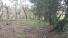 CHIRIQUI, BOQUETE, FINCA UBICADA EN PALMIRA ABAJO, CORREGIMIENTO DE PALMIRA.