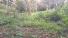 CHIRIQUI, BOQUETE, FINCA UBICADA EN PALMIRA ABAJO, CORREGIMIENTO DE PALMIRA.