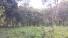 CHIRIQUI, BOQUETE, FINCA UBICADA EN PALMIRA ABAJO, CORREGIMIENTO DE PALMIRA.