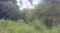 CHIRIQUI, BOQUETE, FINCA UBICADA EN PALMIRA ABAJO, CORREGIMIENTO DE PALMIRA.