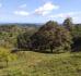 CHIRIQUI, BARU, OCEAN VIEW FARM LOCATED IN SAN BARTOLO.