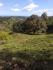 CHIRIQUI, BARU, OCEAN VIEW FARM LOCATED IN SAN BARTOLO.