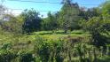 CHIRIQUI, BUGABA, SMALL FARM WITH HIGHWAY FRONTAGE IN LA ESTRELLA.